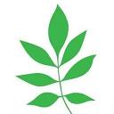 1001herbes.ch logo