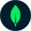 10gen.com logo