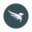 12mavens.com logo