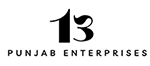 13punjab.com logo