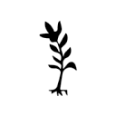 1860italia.com logo