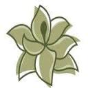 1magnolialane.com logo