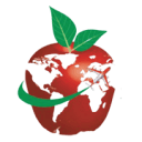 1stclasseducator.com logo
