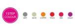 1stepcolour.com logo