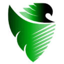 1stopulencefinancial.com logo
