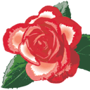 207landscaping.com logo