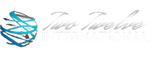 212int.com logo