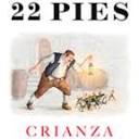 22pies.com logo