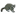 247wildlife.com logo