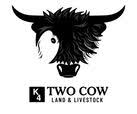2cowminis.com logo