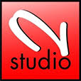 2n-studio.com logo