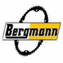 2rad-bergmann.de logo