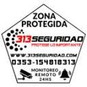 313seguridad.com logo