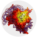 3dproteinimaging.com logo