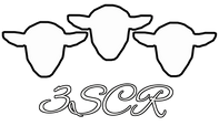 3sheepcoffeeroasters.com logo