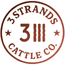3strands.co logo