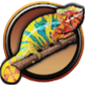 402exotics.com logo