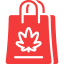 420dayshop.site logo