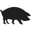 4505meats.com logo
