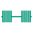495strengthandperformance.com logo