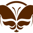 4everyoung.si logo