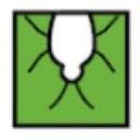 4njpest.com logo
