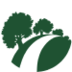 500oaks.com logo