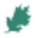5oaksassociates.com logo