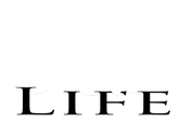 5q5.life logo