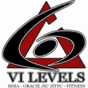 6levelsorlando.com logo