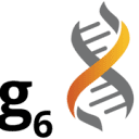 6logsolutions.com logo