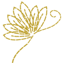 8limbs.com logo