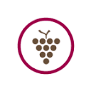 90pluswine.de logo