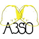 a3so.com logo