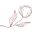 aaronis.com logo