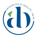 ab84.it logo