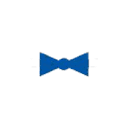 aballoonaffair.com logo