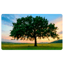 abbeywoodpartners.com logo