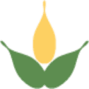 ablazelifescience.com logo