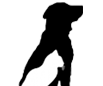 aboutcnd.com logo