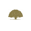 abrahamsprofessional.com logo