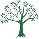 abrilliantfoundation.com logo