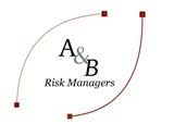 abriskmanagers.com logo