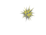 abrojo.tv logo