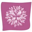 absolumentfleurs.com logo