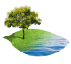 acaciaplantsandtrees.ae logo