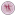 academiadeballetdecoyoacan.com logo