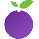 acaiberryextreme.com logo