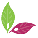 acanchia-shop.com logo