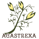 acastrexa.com logo